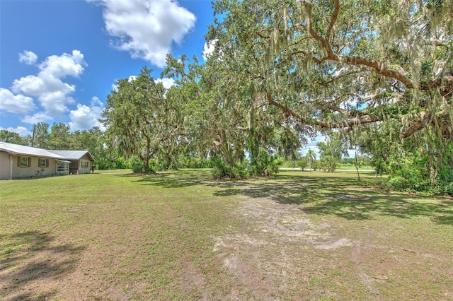 2610 Crestview Rd, Wimauma, FL 33598 - photo 4