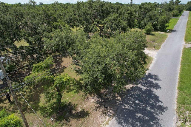 2610 Crestview Rd, Wimauma, FL 33598 - photo 41