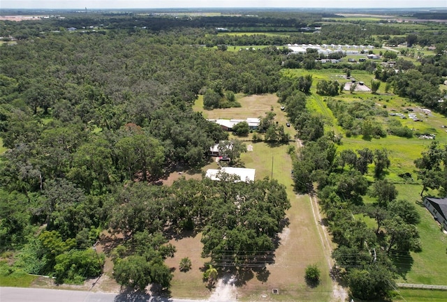 2610 Crestview Rd, Wimauma, FL 33598 - photo 50