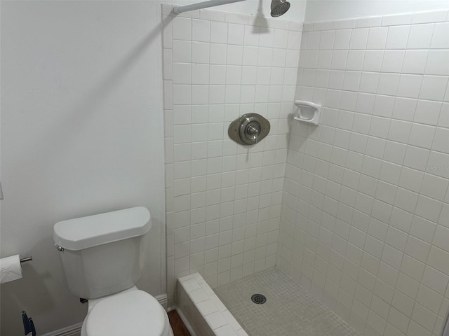 1710 W Powhatan Ave, Tampa, FL 33603 - photo 11