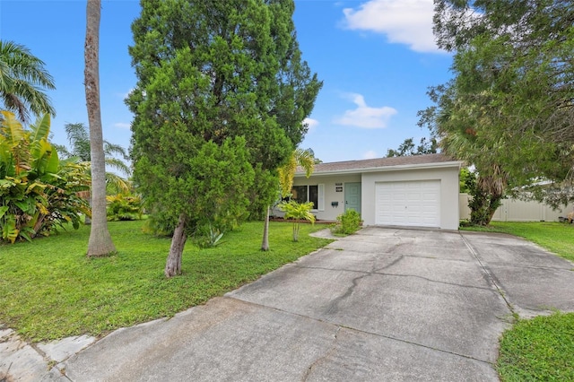 1084 39th Ave NE, Saint Petersburg, FL 33703 - photo 2