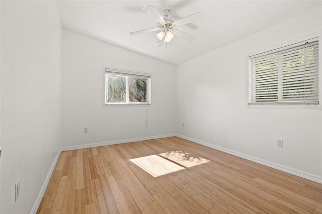 1084 39th Ave NE, Saint Petersburg, FL 33703 - photo 17