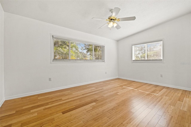 1084 39th Ave NE, Saint Petersburg, FL 33703 - photo 19