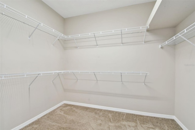 3530 Brook Crossing Dr, Brandon, FL 33511 - spacious closet with carpet floors