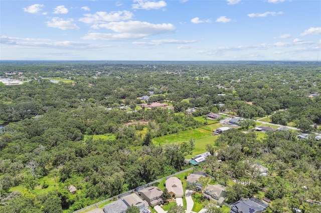 3530 Brook Crossing Dr, Brandon, FL 33511 - aerial view of residential area with a forest