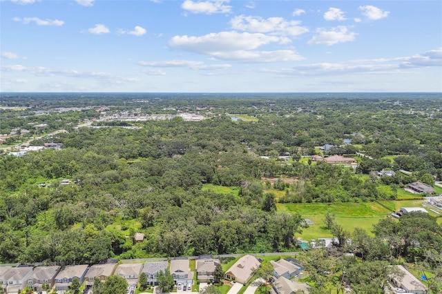 3530 Brook Crossing Dr, Brandon, FL 33511 - aerial view of residential area featuring a forest