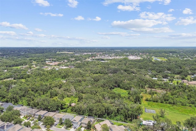 3530 Brook Crossing Dr, Brandon, FL 33511 - aerial perspective of suburban area with a heavily wooded area