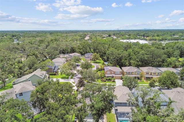 3530 Brook Crossing Dr, Brandon, FL 33511 - aerial perspective of suburban area with a forest