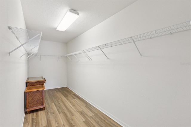 25737 Frith St, Land O Lakes, FL 34639 - spacious closet with light wood-style floors