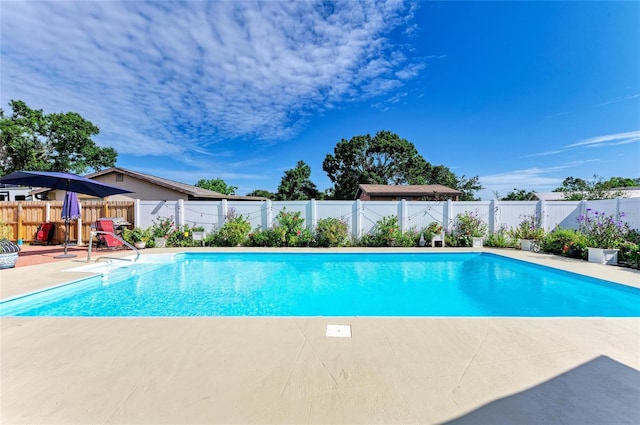 1908 N Brink Ave, Sarasota, FL 34234 - view of swimming pool featuring a patio area and a fenced backyard
