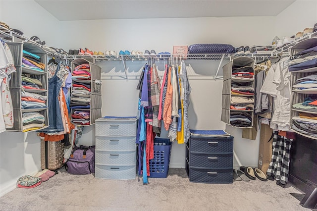 13527 Willow Bluestar Loop, Riverview, FL 33579 - walk in closet with carpet
