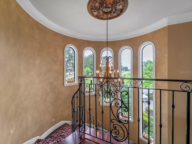 12125 Stonelake Ranch Blvd, Thonotosassa, FL 33592 - detailed view of a chandelier and ornamental molding