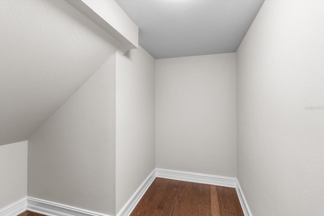 3994 Medicci Ln, Wesley Chapel, FL 33543 - spacious closet with dark wood-style floors