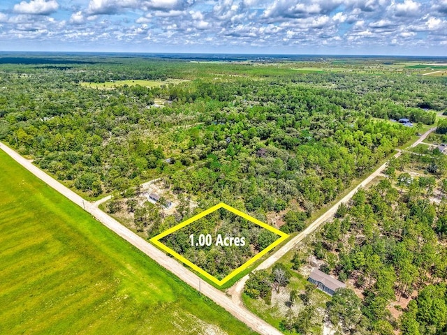 NE 10th St, Williston, FL 32696 - photo 1