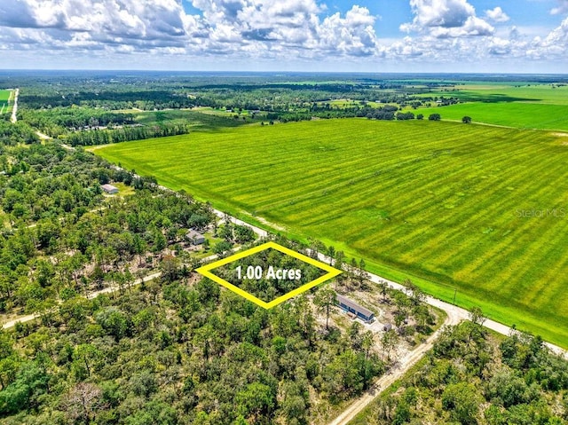 NE 10th St, Williston, FL 32696 - photo 2