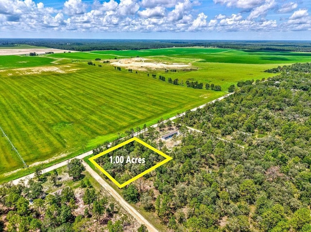 NE 10th St, Williston, FL 32696 - photo 3