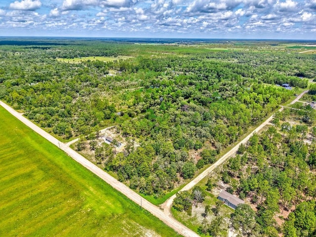 NE 10th St, Williston, FL 32696 - photo 4