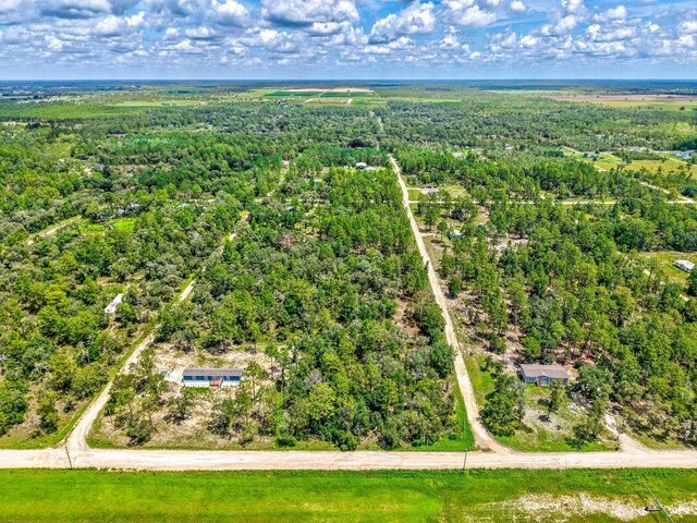 NE 10th St, Williston, FL 32696 - photo 5