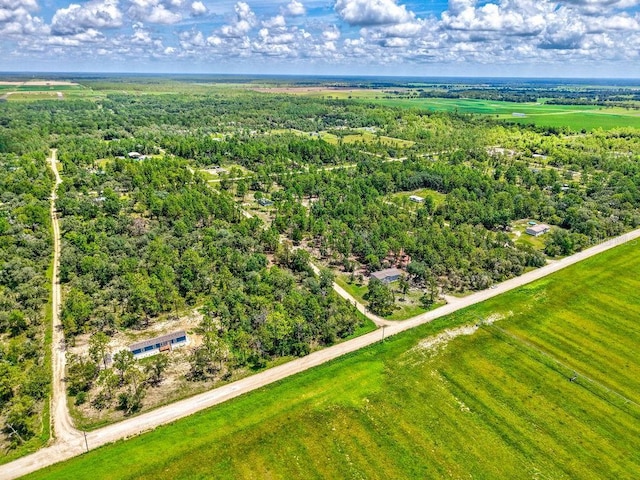 NE 10th St, Williston, FL 32696 - photo 6
