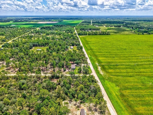 NE 10th St, Williston, FL 32696 - photo 7