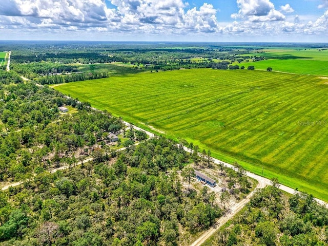 NE 10th St, Williston, FL 32696 - photo 8