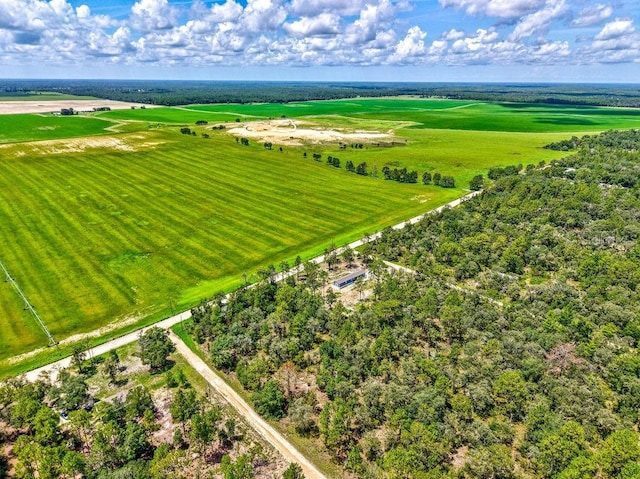 NE 10th St, Williston, FL 32696 - photo 9