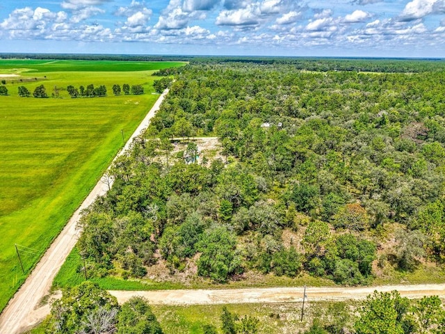 NE 10th St, Williston, FL 32696 - photo 10