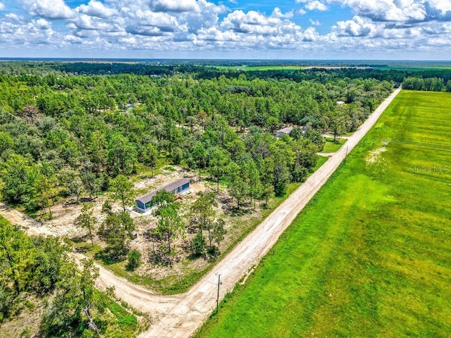NE 10th St, Williston, FL 32696 - photo 12