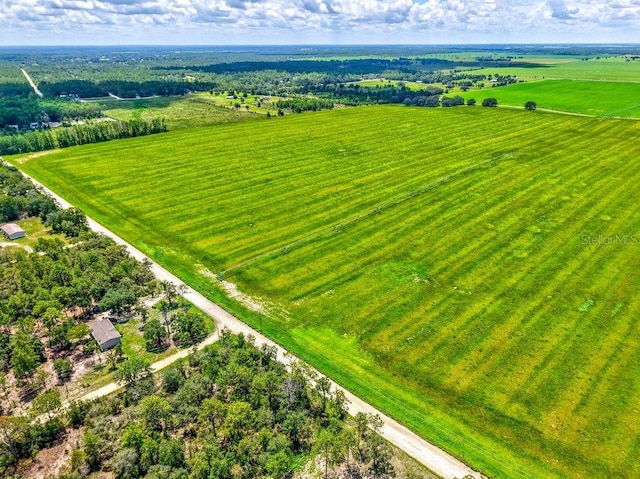 NE 10th St, Williston, FL 32696 - photo 13