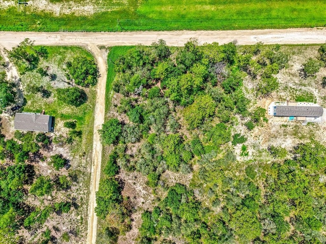 NE 10th St, Williston, FL 32696 - photo 15