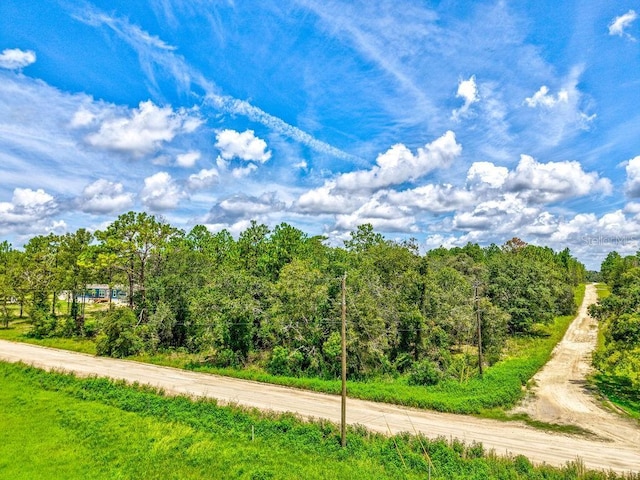 NE 10th St, Williston, FL 32696 - photo 16
