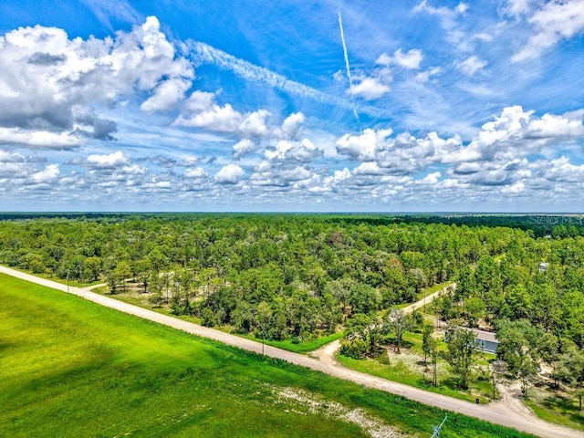 NE 10th St, Williston, FL 32696 - photo 18