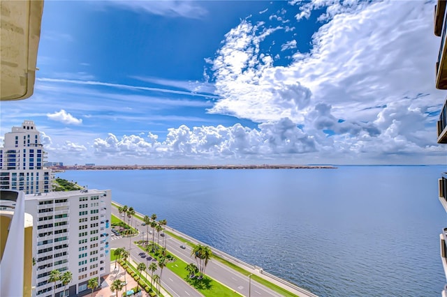 2413 Bayshore Blvd Unit 1903, Tampa, FL 33629 - photo 1
