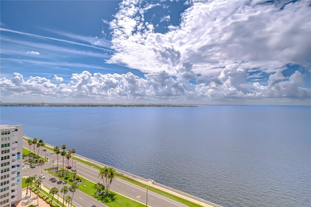 2413 Bayshore Blvd Unit 1903, Tampa, FL 33629 - photo 28