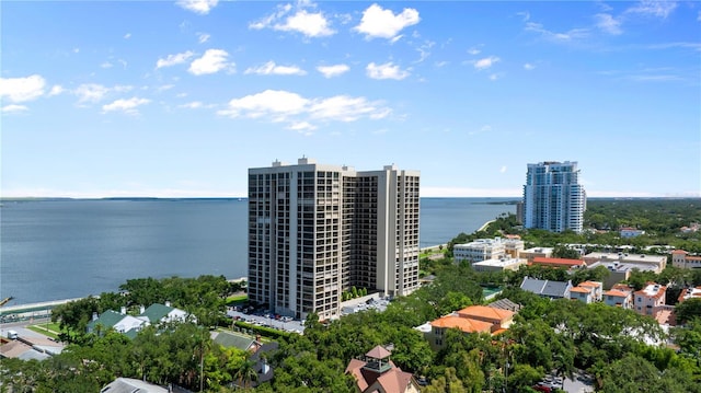 3301 Bayshore Blvd Unit 1908B, Tampa, FL 33629 - photo 39