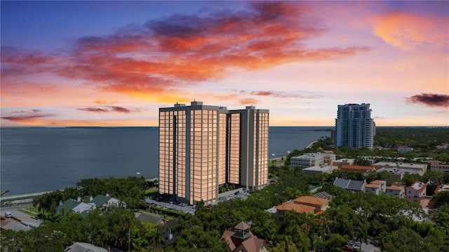 3301 Bayshore Blvd Unit 1908B, Tampa, FL 33629 - photo 40