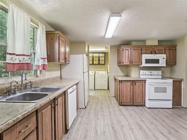 26223 Chianina Dr, Wesley Chapel, FL 33544 - kitchen featuring white appliances, washer and clothes dryer, a textured ceiling, light wood-style flooring, and brown cabinetry