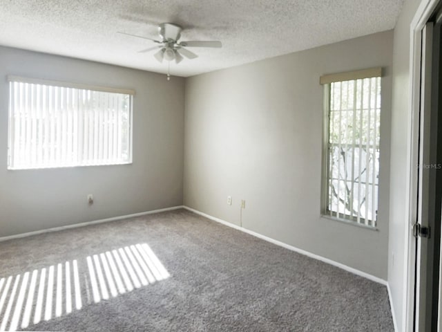 7148 E Bank Dr Unit 7148, Tampa, FL 33617 - photo 14