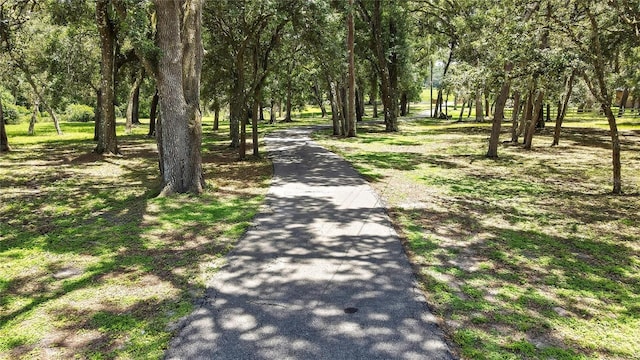 21451 US Highway 98, Dade City, FL 33523 - photo 8