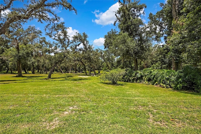 21451 US Highway 98, Dade City, FL 33523 - photo 43