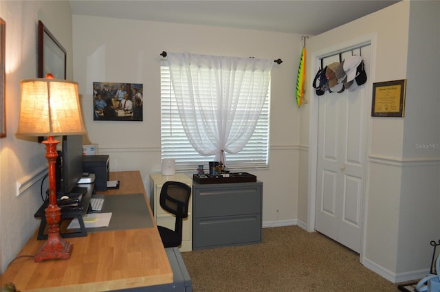 3212 Stevenson St, Plant City, FL 33566 - photo 23