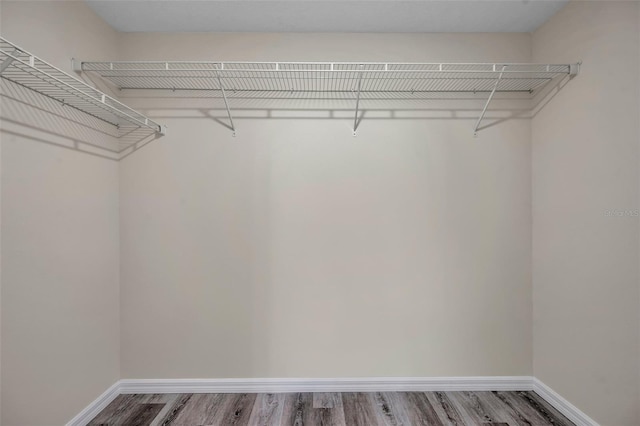 1561 S Martin Luther King Jr Ave, Clearwater, FL 33756 - walk in closet with wood finished floors