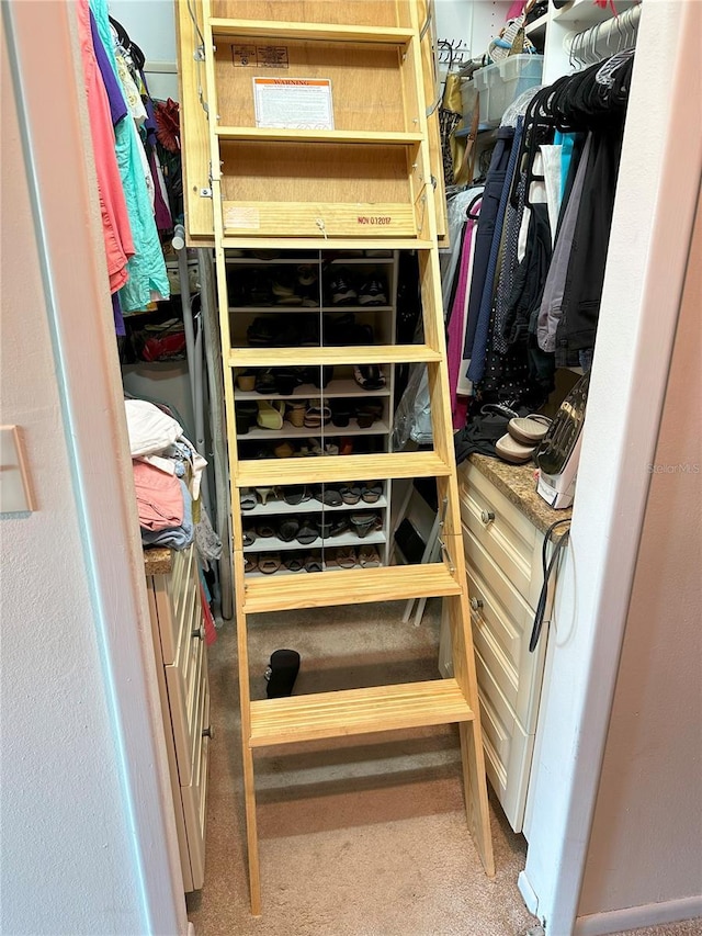 459 Haven Point Dr, Treasure Island, FL 33706 - view of spacious closet