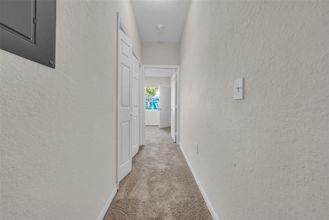 18001 Richmond Place Dr Unit 116, Tampa, FL 33647 - photo 13