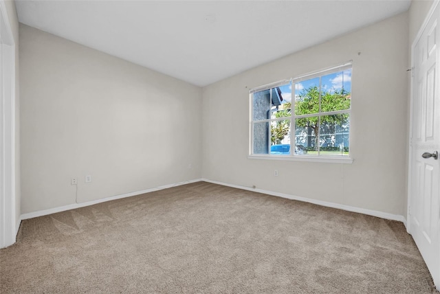 18001 Richmond Place Dr Unit 116, Tampa, FL 33647 - photo 15