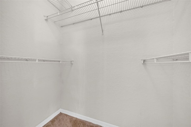 18001 Richmond Place Dr Unit 116, Tampa, FL 33647 - photo 17