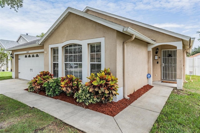 24449 Mistwood Ct, Lutz, FL 33559 - photo 3