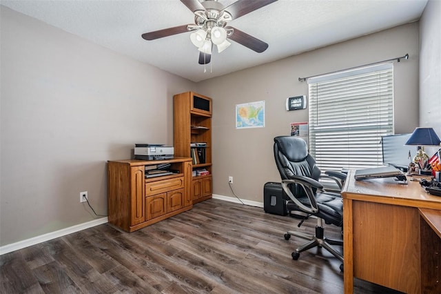 24449 Mistwood Ct, Lutz, FL 33559 - photo 22