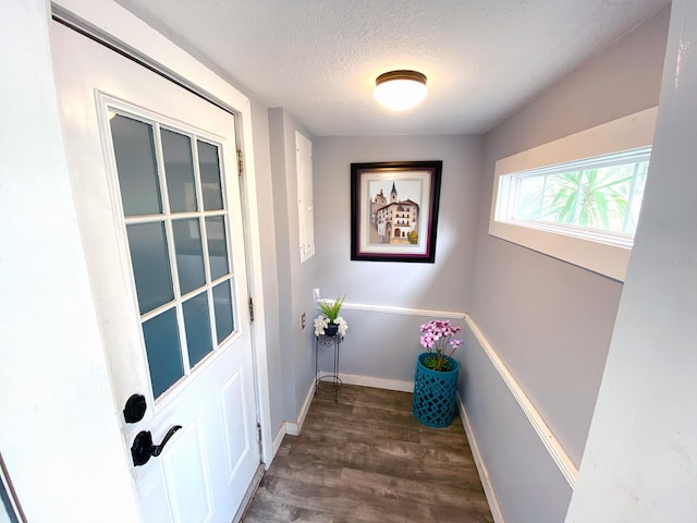 5812 Montana Ave, New Port Richey, FL 34652 - photo 11