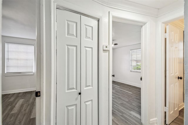 1833 Knollwood Dr, Holiday, FL 34690 - photo 23